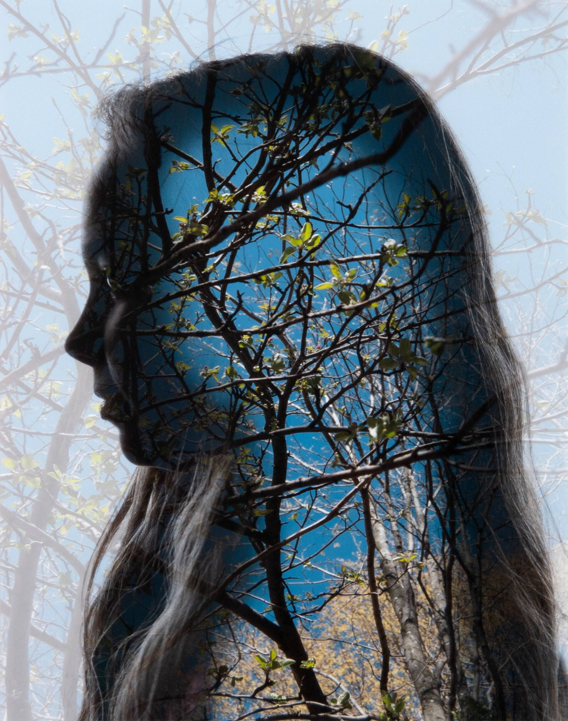 Photograph of profile portrait of young girl, superimposed over a photograph of blue sky as seen through sparse branches with coloring leaves.